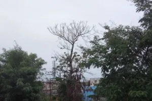 UP Weather Alert: आज राजधानी लखनऊ समेत यूपी के 44 जिलों में आंधी-तूफान को लेकर अलर्ट