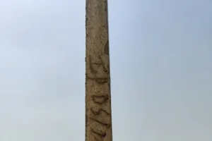 बरेली: बिना अनुमति के पारस बलिया में बन रही कॉलोनी में लगा दिए सरकारी पोल