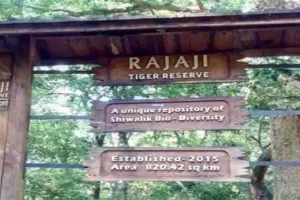 हरिद्वार: राजाजी टाइगर रिजर्व में मिली मृत बाघिन 