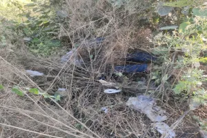 बहराइच : झाड़ियों में पड़ी मिली अज्ञात युवक की लाश, जीआरपी ने शव को पोस्टमार्टम लिए भेजा