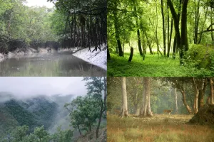 हल्द्वानी: तराई-भाबर के जंगलों में 1 हजार हेक्टेयर पर गोठ-गूर्जर खत्ते काबिज