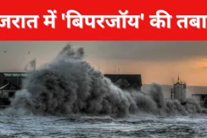 गुजरात में 'बिपरजॉय' की तबाही, कई बेजुवानों की मौत, 23 लोग घायल...सैकड़ों गांवों की बिजली गुल