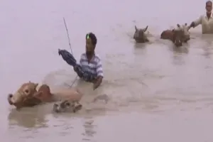 असम में बाढ़ की स्थिति अभी भी गंभीर, करीब पांच लाख लोग प्रभावित 