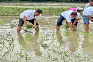 हरदोई: सांसद अशोक कुमार ने की धान की रोपाई, फोटो सोशल मीडिया में हुई वायरल, जानें क्या बोले यूजर 