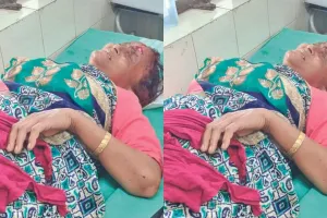 रानीखेतः गुलदार ने महिला पर किया हमला, पूर्व में कई मवेशियों को बना चुका है निवाला