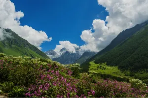 Valley of Flowers: उत्तराखंड की शान और विश्व दारोहर फूलों की घाटी खुली 
