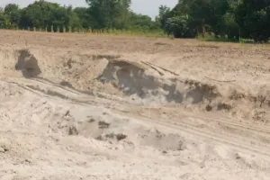 पीलीभीत: कलीनगर की उपजाऊ जमीन को कौन बना रहा बंजर...जानिए मामला