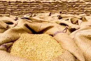 बरेली: सरकारी गोदाम रहेंगे खाली, कल बंद हो जाएगी गेहूं खरीद