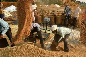 सरकार ने धान का न्यूनतम समर्थन मूल्य 143 रुपये बढ़ाकर 2,183 रुपये प्रति क्विंटल किया 