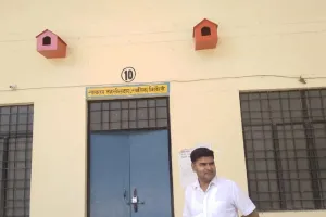 बदायूं: बिसौली तहसील परिसर बना चिड़ियों का बसेरा, दीवारों पर लगाए गए लकड़ी के रंग-बिरंगे घोसले