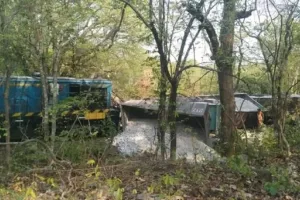 ओडिशा: बरगढ़ जिले में मालगाड़ी की पांच बोगियां पटरी से उतरीं, कोई हताहत नहीं 