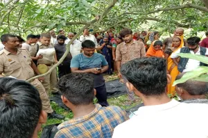 अयोध्या: बाग में फंदे से लटकते मिले नाबालिग प्रेमी युगल के शव, सोमवार शाम दोनों हुए थे घर से गायब