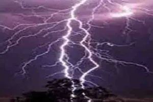 सोनभद्र में आकाशीय बिजली की चपेट में आकर 20 भेड़ों की मौत