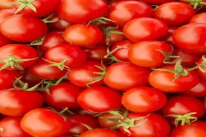 प्रयागराज में अनोखी घटना, महिला सब्जी विक्रेता को जमकर पीटा - लूट ले गये चार किलो टमाटर