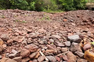 गरमपानी: पत्थरों की तस्करी पर शिंकजा कसने को वन विभाग अलर्ट