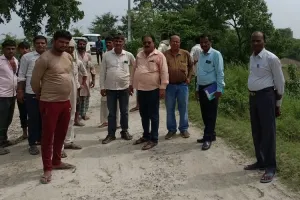 अमृत विचार की खबर का असर : संभल में पांच सांडों की मौत पर दौड़े अफसर, शिफ्ट कराए पशु