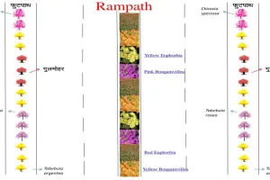 अयोध्या : लाल-पीले गुलाबी फूलों से सजेंगे मन्दिर के पथ 