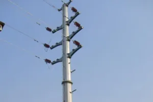 बरेली: लोगों को लुभाने के लिए बिल्डर ने कॉलोनी में लगा दिए पोल, अब बिजली विभाग कनेक्शन देने से कर रहा मना