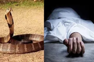 बहराइच : टीवी देखते समय जैसे ही ग्रामीण ने पैर नीचे किया, सर्प ने काट लिया