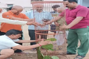 पर्यावरण संरक्षण के लिए पौधरोपण जरूरी : चंदन 