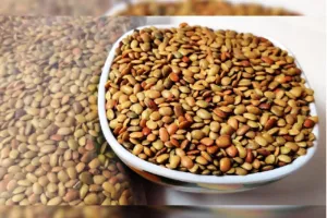 पहाड़ की ये दाल है सेहत से भरपूर, एक बार खाएंगे तो खुद जान जाएंगे इसके फायदे