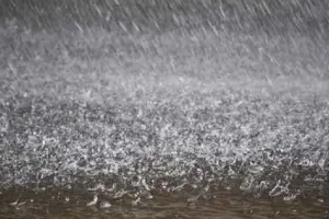 अमरोहा: दाऊद सराय में बारिश से गिरे दो मकान, लोगों ने भाग कर बचाई जान 