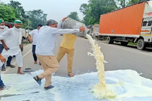अमरोहा: किसानों का दूध फैक्ट्री गेट पर हंगामा, जीएम से नोकझोंक...किसानों ने सड़क पर बहाया दूध