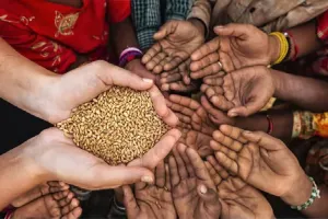 वैश्विक खाद्य संकट टालने और यूकेन से अनाज निर्यात बहाल करने को लेकर UN का रूस पर दबाव 