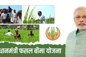 हल्द्वानी: जिले में 20 हजार किसानों का किया जाएगा बीमा 