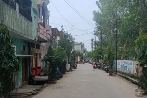 बरेली: पौधों की परवरिश कर छांव देने का कर रहे काम