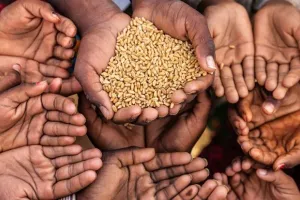 छत्तीसगढ़ में कोविड के दौरान लाभार्थियों को अतिरिक्त मात्रा में खाद्यान्न का लाभ नहीं मिला : कैग