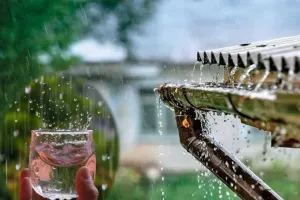 हल्द्वानी: 2 साल से हैंडपंप खराब, बारिश का पानी पीने को मजबूर लोग