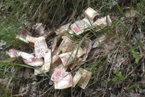 नैनीताल के जंगल में मिले 1000 और 500 के नोट, पुलिस जुटी जांच में
