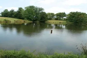 कैसे लगे गिरते भू-जल स्तर पर रोक, राजस्व अभिलेखों में दर्ज हैं 10,000 तालाब, 6,000 ढूंढो तो जानें...