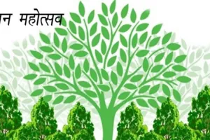 अयोध्या: सभी परिषदीय विद्यालयों में 17 से 22 जुलाई तक मनेगा वन महोत्सव