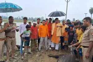 संभल: हाइटेंशन लाइन के करंट से मरे आठ पशु, ग्रामीणों ने किया हंगामा 