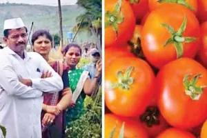 टमाटर के ऊंचे भाव ने पुणे के किसान को बनाया करोड़पति, एक महीने में कमाए तीन करोड़ 