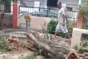 बरेली: हरियाली पर फिर चली आरी, ठेकेदार पर केस दर्ज