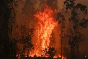 मुंबईः इमारत में 16वीं मंजिल पर स्थित फ्लैट में लगी आग, कोई हताहत नहीं