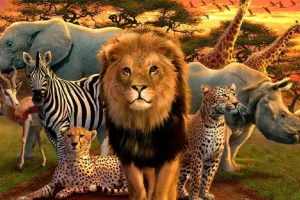 बरेली: पांच साल में वन्यजीवों के रेस्क्यू पर वन विभाग ने बहाया लाखों रुपया