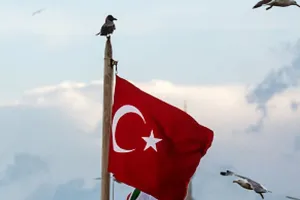 तुर्की में 35 हजार अवैध प्रवासी हिरासत में, 16000 से अधिक निर्वासित 