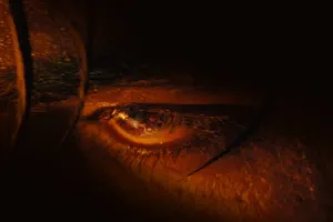 Jawan : 'वो तुम्हें करीब से देख रहा है उससे सावधान रहें', फिल्म जवान से विजय सेतुपति का नया लुक रिलीज 