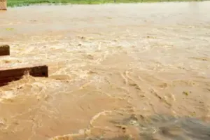 आफत की बारिश: डेंजर लेवल के ऊपर बह रही यमुना, राजधानी दिल्ली में बाढ़ का खतरा, कई इलाकों में घरों के अंदर भरा पानी 