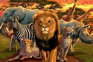 नौ साल: संघर्ष में 75 वन्यजीव तो 55 लोगों की चली गई जान