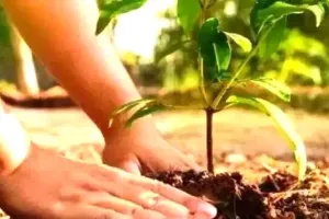 अयोध्या: वसुधा वंदन के तहत 835 ग्राम पंचायतों में रोपे जायेगें करीब 62 हजार पौधे