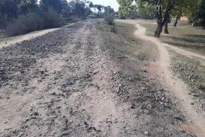 बरेली: 50 राइस मिलर सशंकित...सितंबर में जर्जर सड़क से कैसे निकालेंगे ट्रक