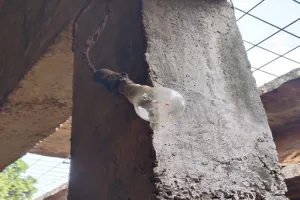 बहराइच: लो वोल्टेज बिजली से उपभोक्ता परेशान, अधिकारी नहीं उठा रहे फोन