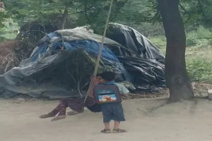 सिर्फ नाम का रह गया सावन, नहीं दिखती झूलों पर खिलखिलाती युवतियों की टोली