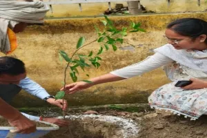 लखनऊ : युवाओं को रोजगार से जोड़ने के लिए शिविर आयोजित, बीडीओ ने रोपा पौधा   