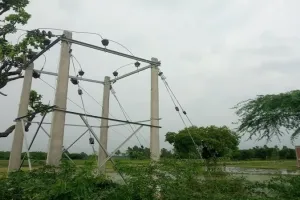 रायबरेली: 48 घंटे से ऊंचाहार की विद्युत व्यवस्था धड़ाम, रघुपुर 33 केवी लाइन भी बंद